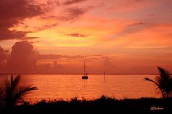 Roatan, Honduras. by Shawn Jackson 